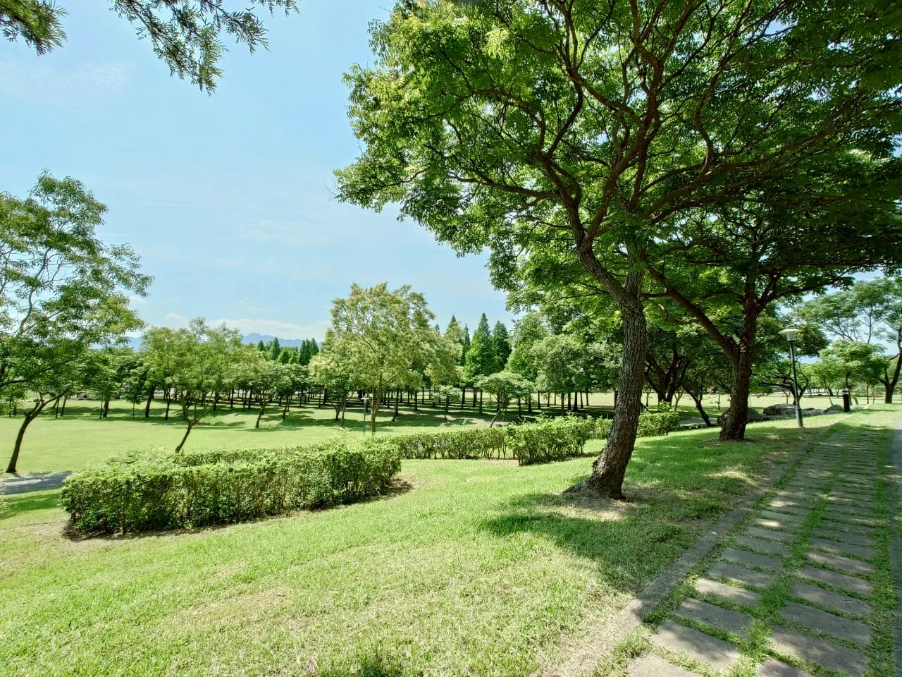大溪河濱公園綠地與戶外活動空間