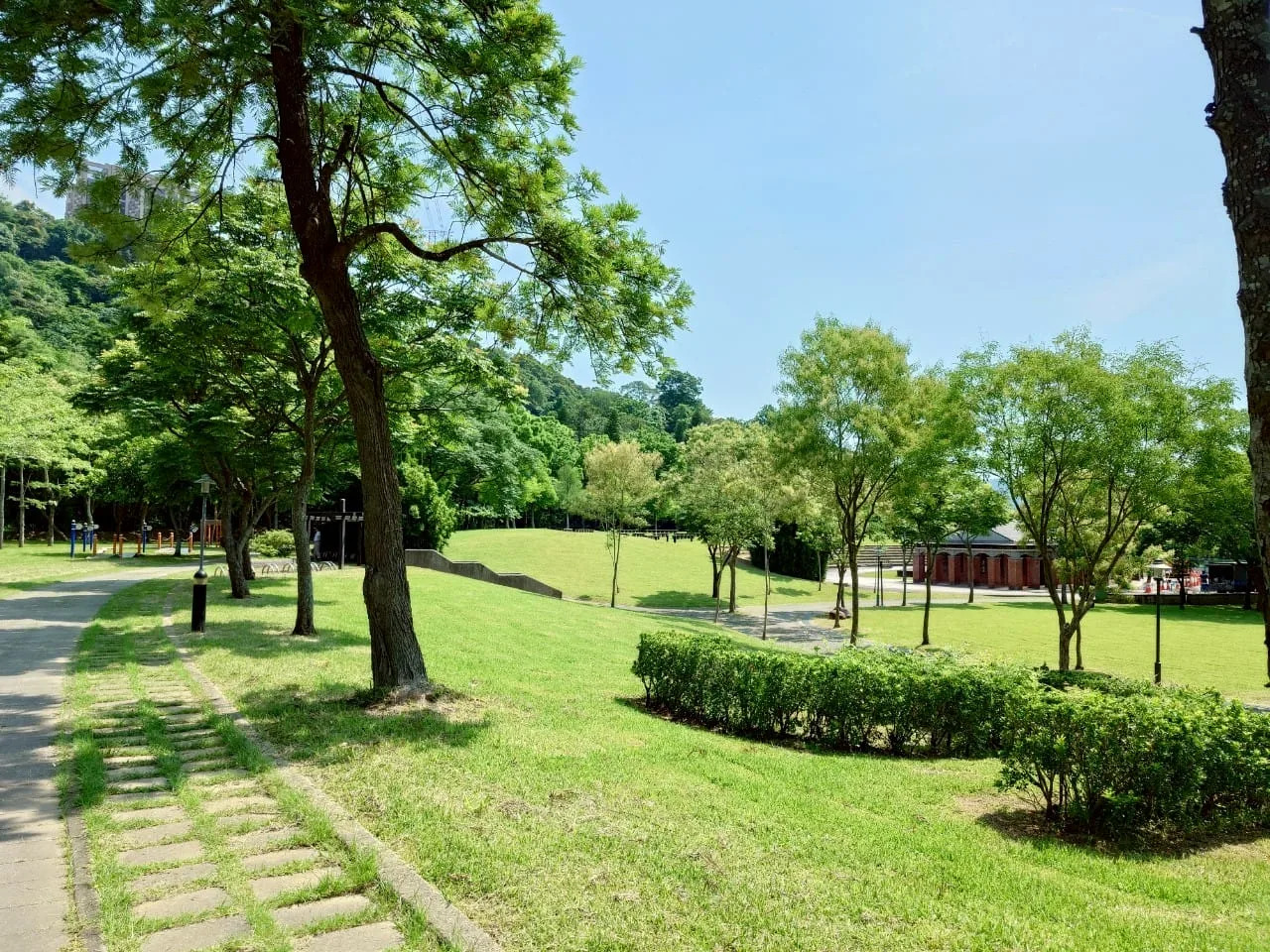 大溪河濱公園大片草地與樹林實景