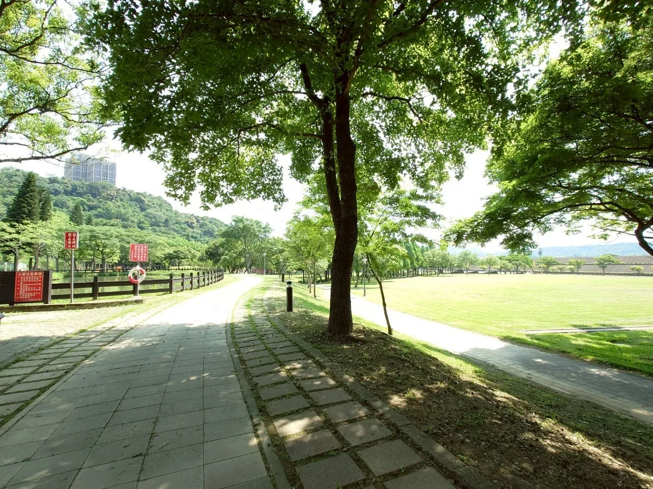 大溪河濱公園林蔭步道